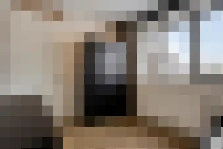 De Ing 4 Geffen thumbnail 26