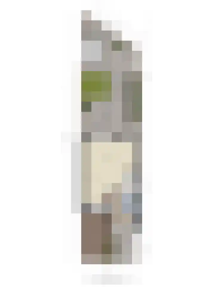 De Ing 4 Geffen thumbnail 38