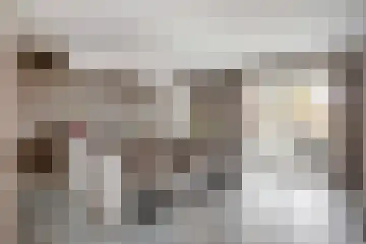 De Ing 5 Geffen thumbnail 10