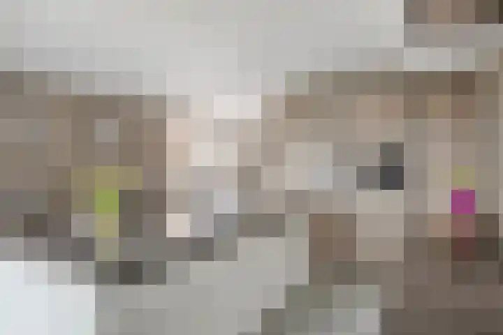 De Ing 5 Geffen thumbnail 11