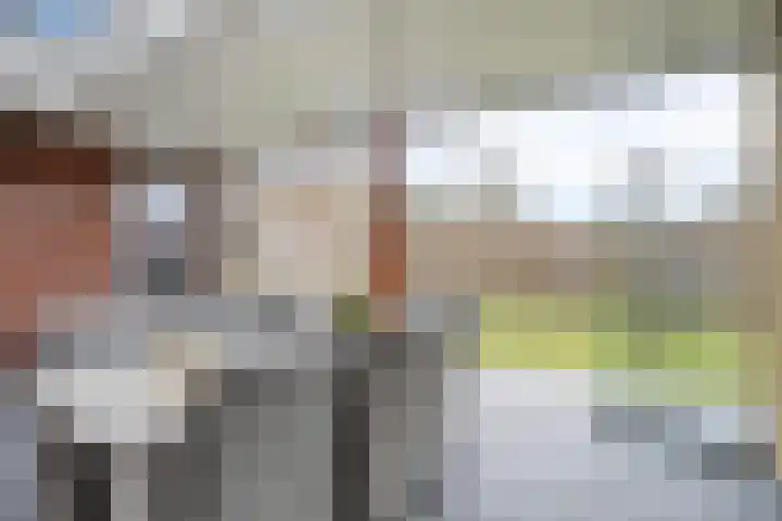 De Ing 5 Geffen thumbnail 13