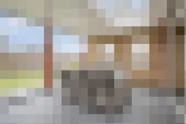 De Ing 5 Geffen thumbnail 14