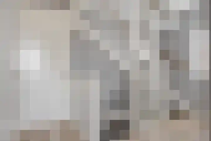 De Ing 5 Geffen thumbnail 22