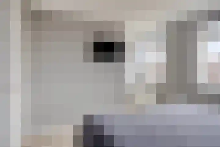 De Ing 5 Geffen thumbnail 24