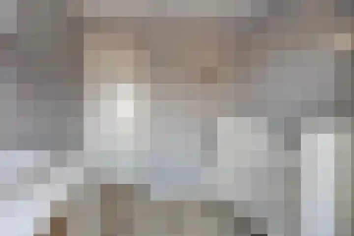 De Ing 5 Geffen thumbnail 28