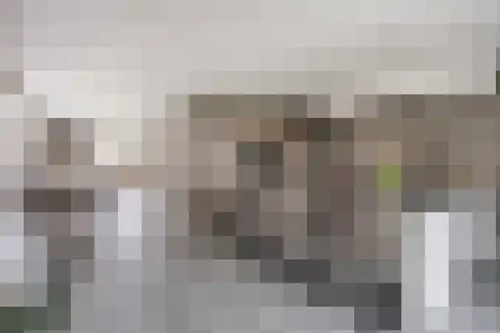 De Ing 5 Geffen foto 3