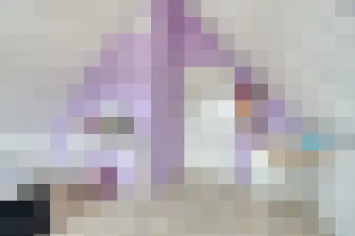 De Ing 5 Geffen thumbnail 34