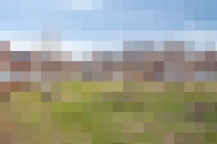 De Ing 5 Geffen thumbnail 38