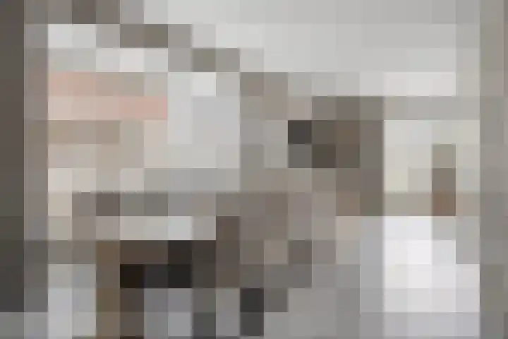 De Ing 5 Geffen thumbnail 4