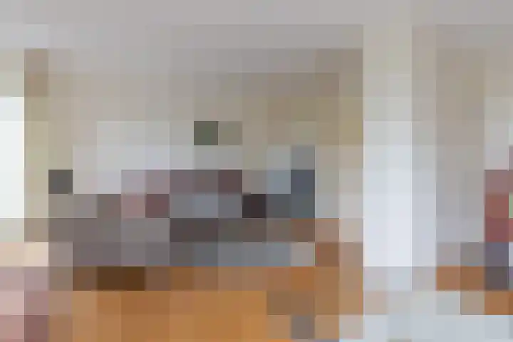De Jagersherne 8 IJlst thumbnail 17