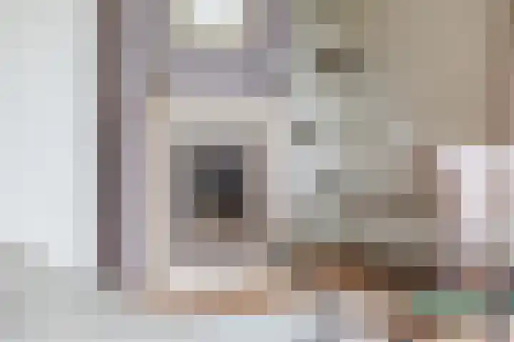 De Jagersherne 8 IJlst foto 2