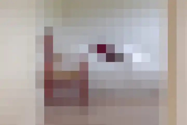 De Jagersherne 8 IJlst thumbnail 20