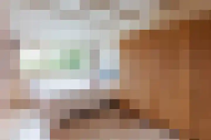 De Jagersherne 8 IJlst thumbnail 23