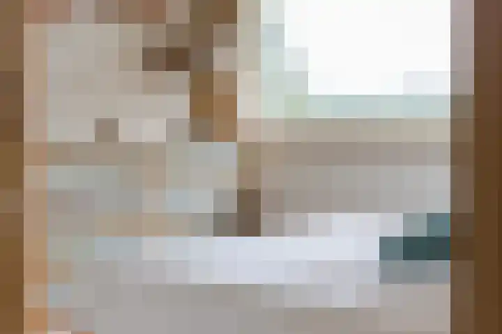 De Jagersherne 8 IJlst thumbnail 26