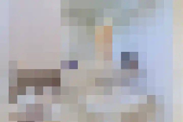 De Jagersherne 8 IJlst thumbnail 32