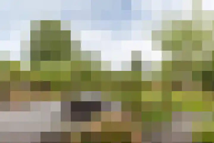 De Jagersherne 8 IJlst thumbnail 33