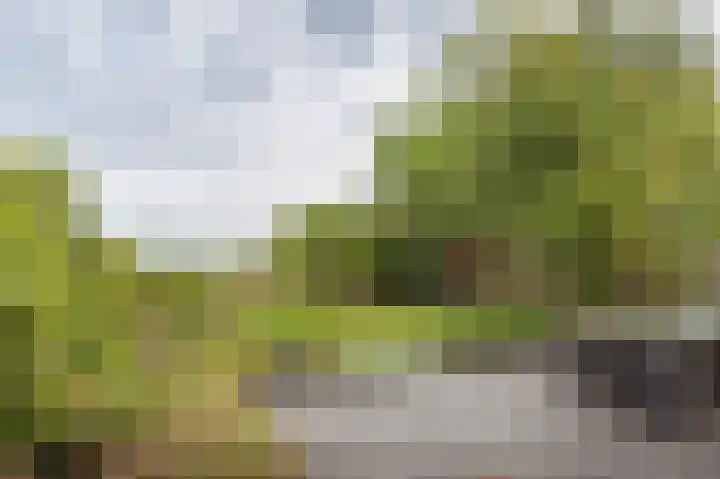 De Jagersherne 8 IJlst thumbnail 34