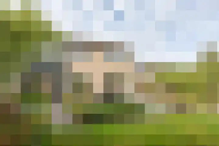 De Jagersherne 8 IJlst thumbnail 37