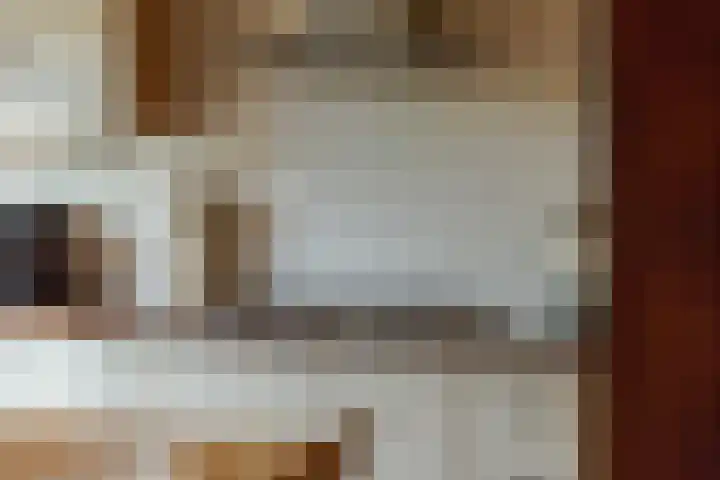 De Jagersherne 8 IJlst thumbnail 9
