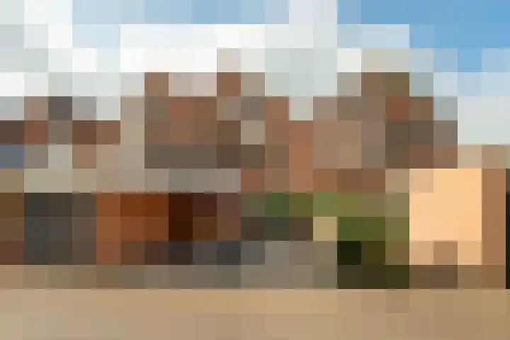 de Jasmijn 20 in Hoogerheide