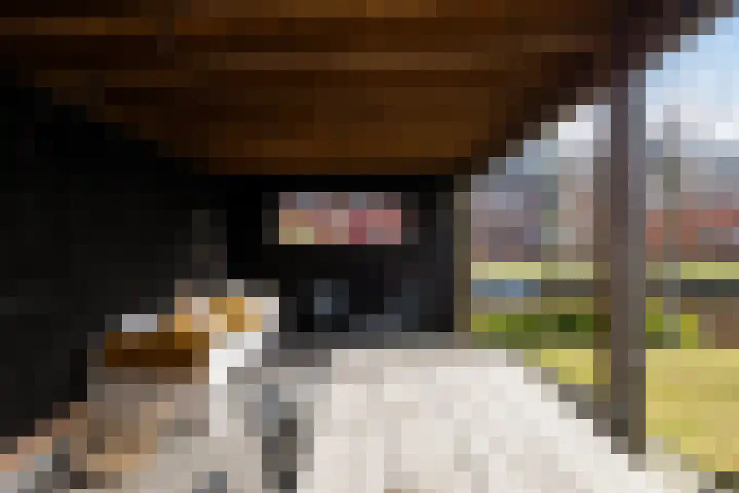 De Jint 1 Leeuwarden thumbnail 30