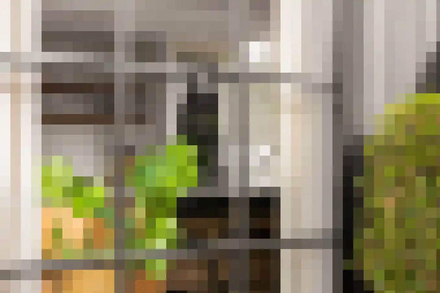 De Jint 1 Leeuwarden thumbnail 33