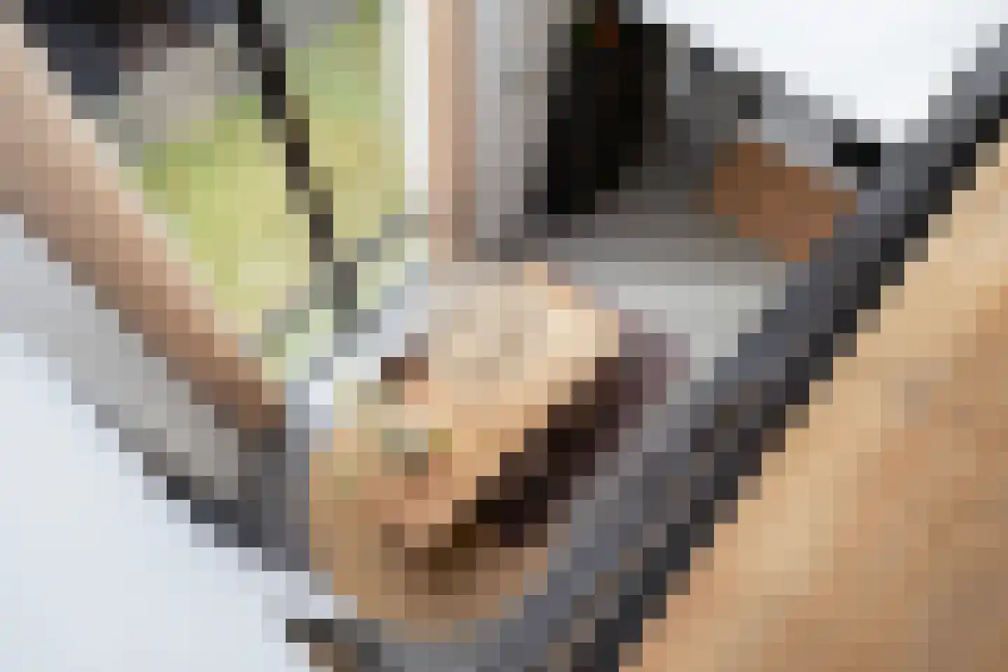 De Jint 1 Leeuwarden thumbnail 35