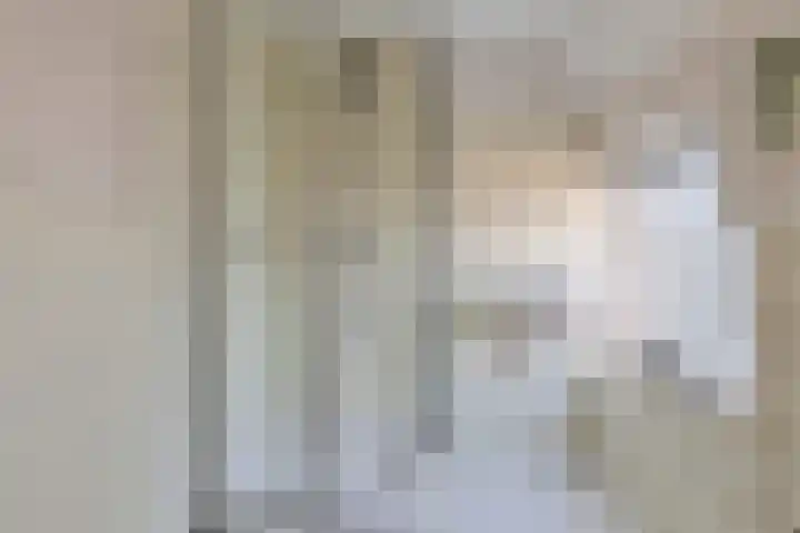 de Joncheerelaan 5 Harmelen thumbnail 10