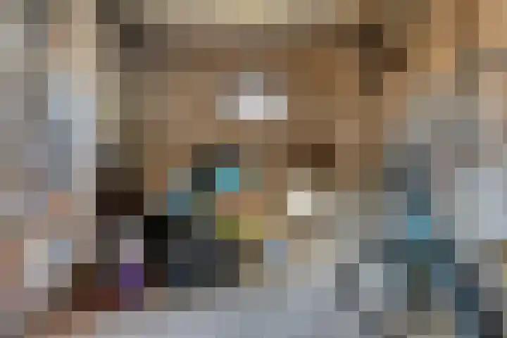 de Joncheerelaan 5 Harmelen thumbnail 25