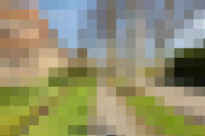 de Joncheerelaan 5 Harmelen thumbnail 34