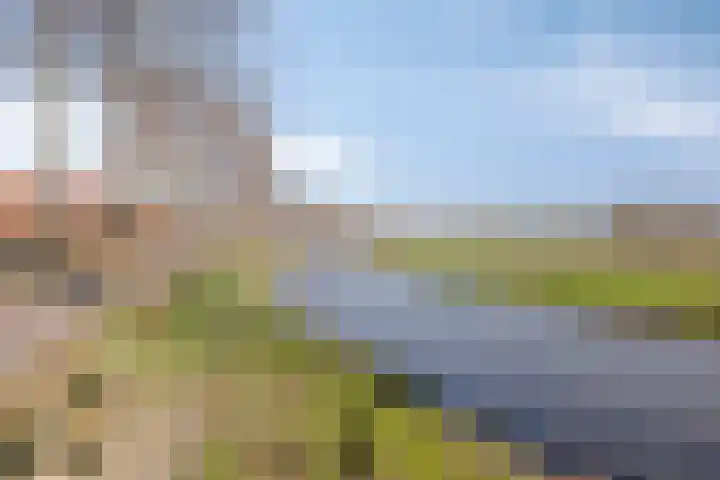 de Joncheerelaan 5 Harmelen thumbnail 35