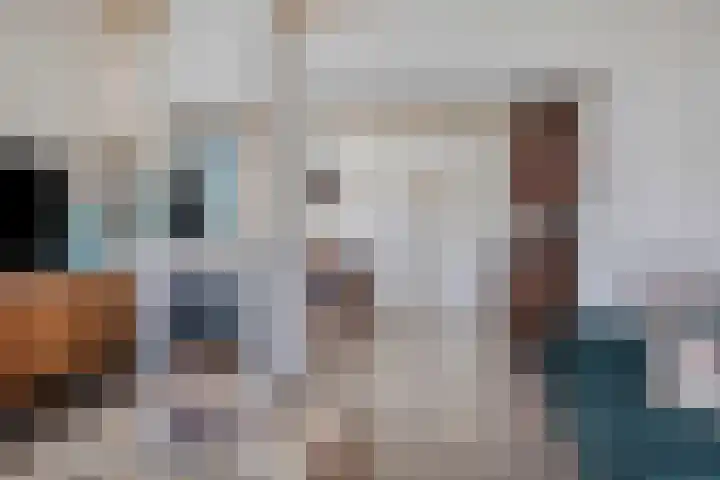de Joncheerelaan 5 Harmelen thumbnail 6