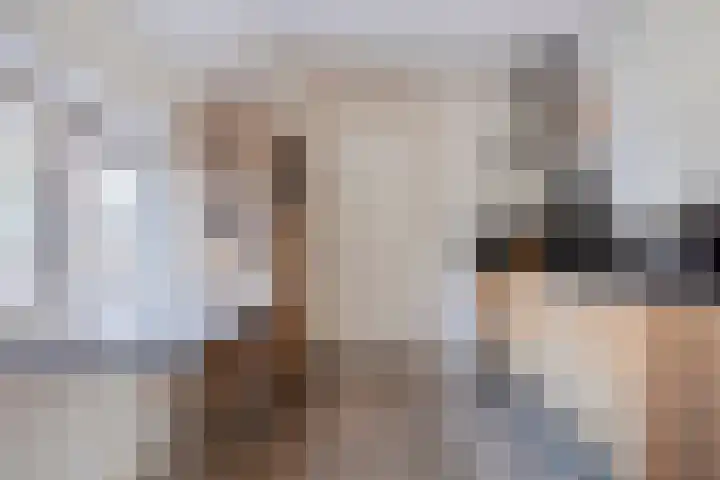 de Joncheerelaan 5 Harmelen thumbnail 7