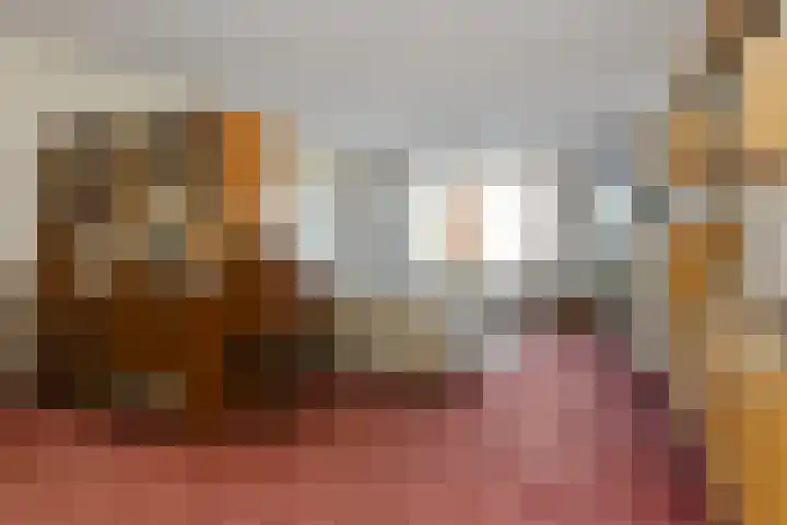 de Jongestraat 20 Best thumbnail 13
