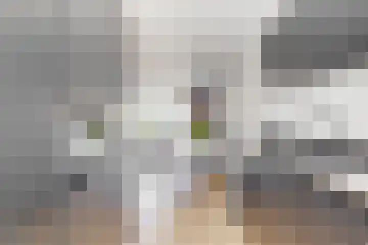 De Juffer 2 Uitgeest thumbnail 12