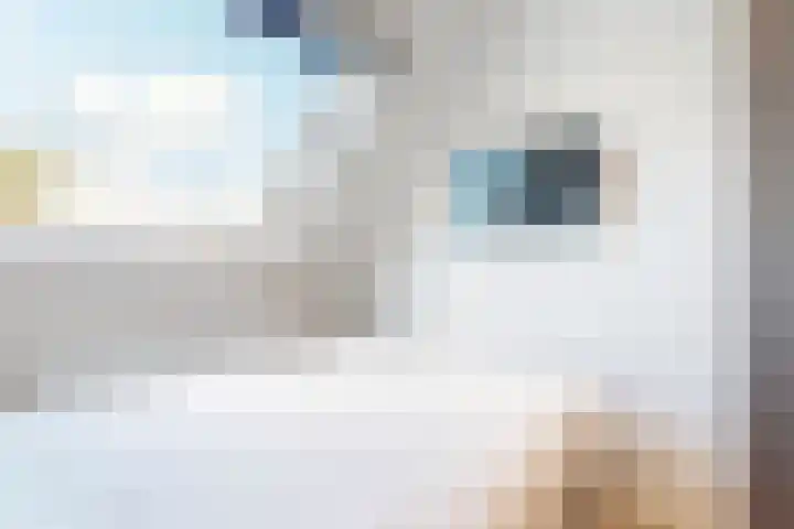 De Juffer 2 Uitgeest thumbnail 16