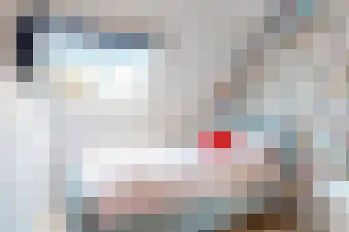 De Juffer 2 Uitgeest thumbnail 17