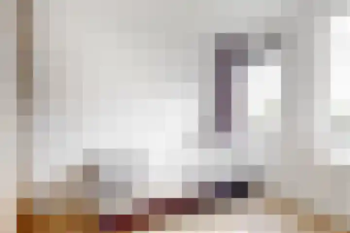De Juffer 2 Uitgeest thumbnail 19