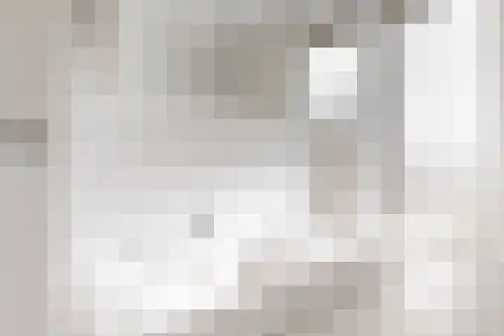 De Juffer 2 Uitgeest thumbnail 23