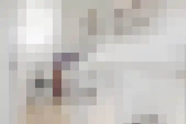 De Juffer 2 Uitgeest thumbnail 25