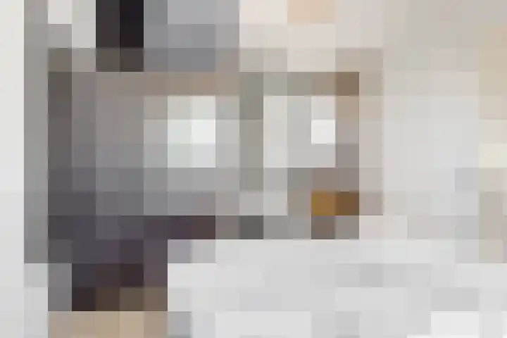 De Juffer 2 Uitgeest thumbnail 28