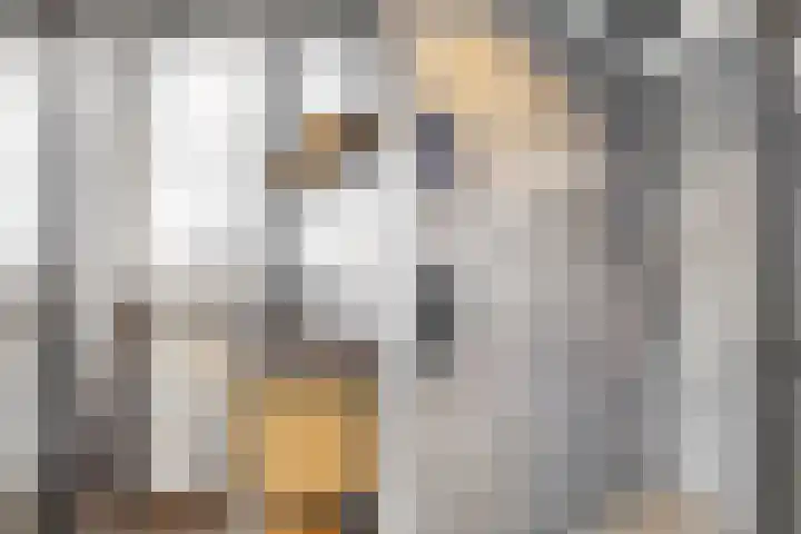 De Juffer 2 Uitgeest thumbnail 30