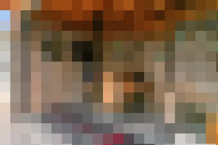 De Juffer 2 Uitgeest thumbnail 34