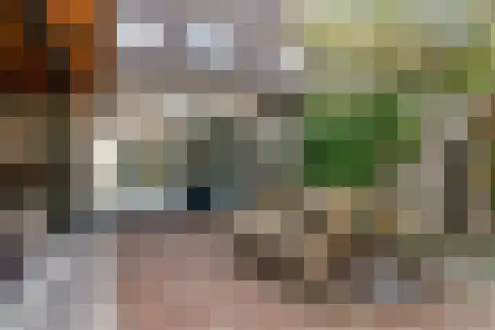 De Juffer 2 Uitgeest thumbnail 35