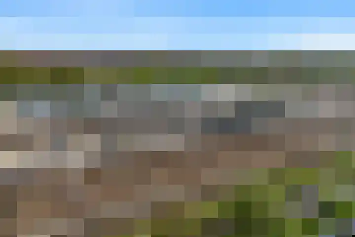 De Juffer 2 Uitgeest thumbnail 42