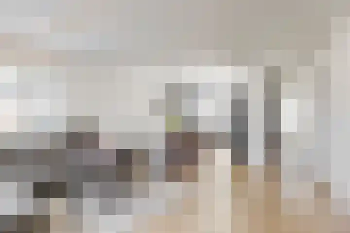 De Juffer 2 Uitgeest thumbnail 6