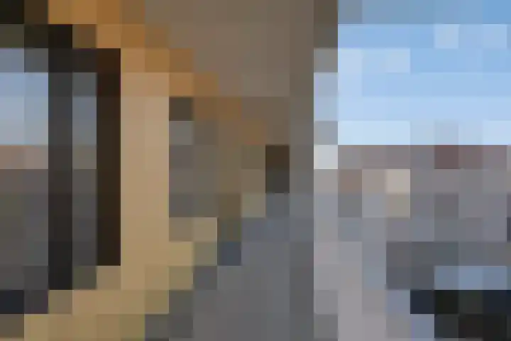 De Kaai 103 Groningen thumbnail 10