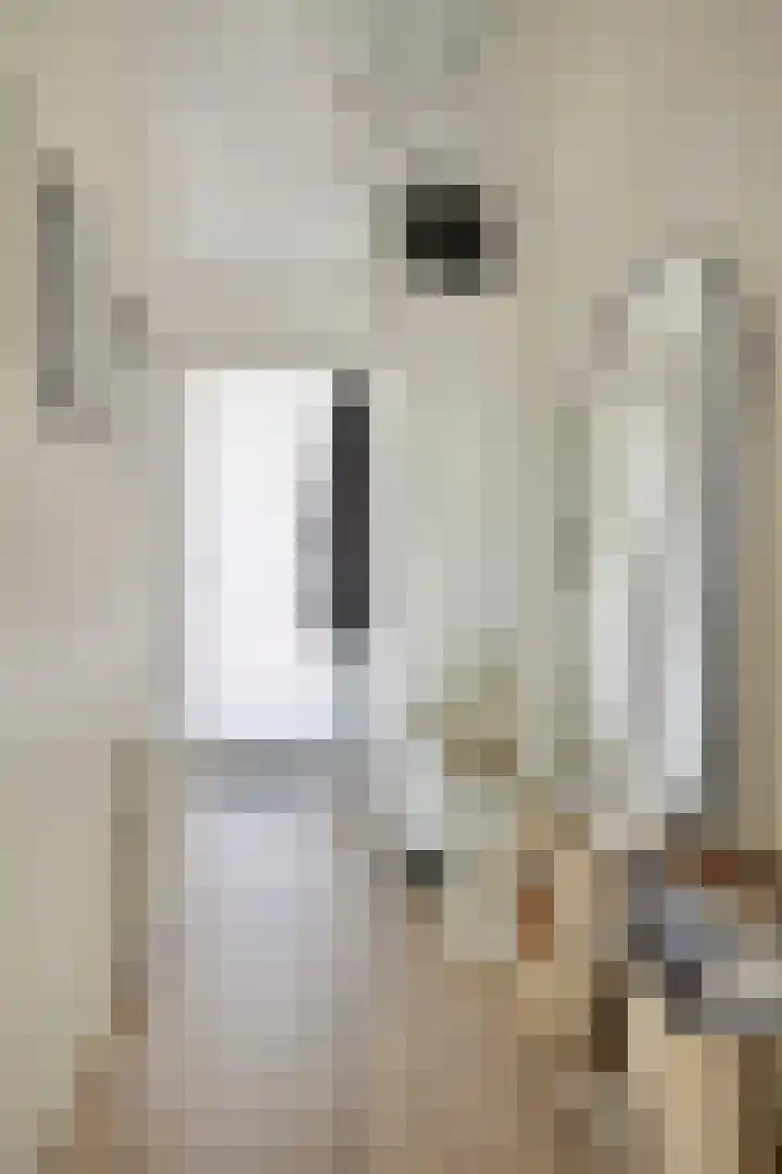 De Kaai 103 Groningen thumbnail 13