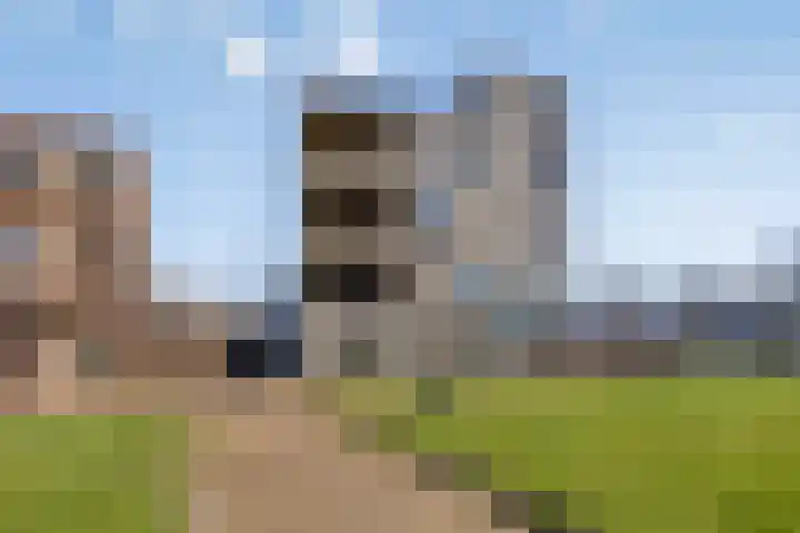 De Kaai 103 Groningen thumbnail 41