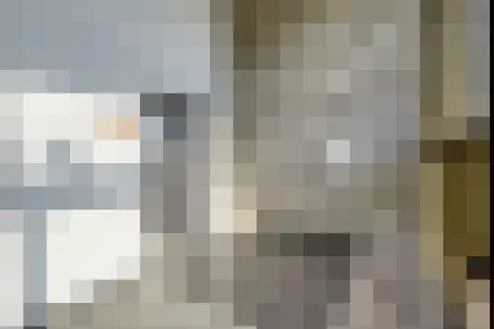 De Kaai 103 Groningen thumbnail 8